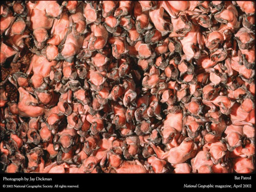 352966 (a): :1024x768